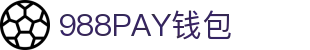 988PAY钱包 - 安全支付工具